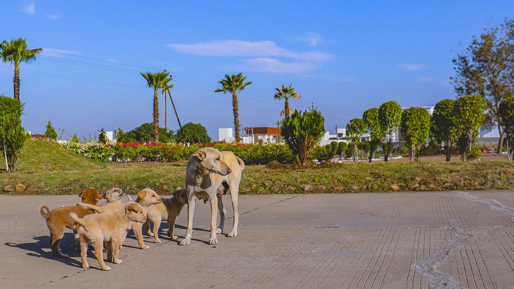 Photograph by Yash Sadawana