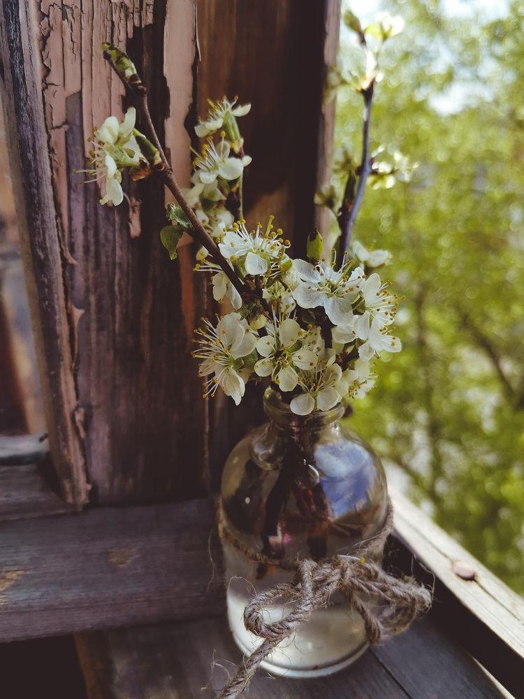 Photograph by Татьяна Антипова