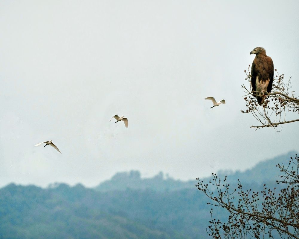 Photograph by Vishal N