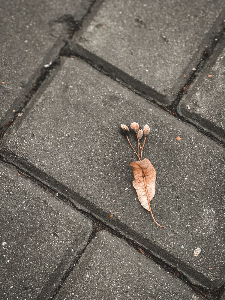 Photograph by Дима Бобровский