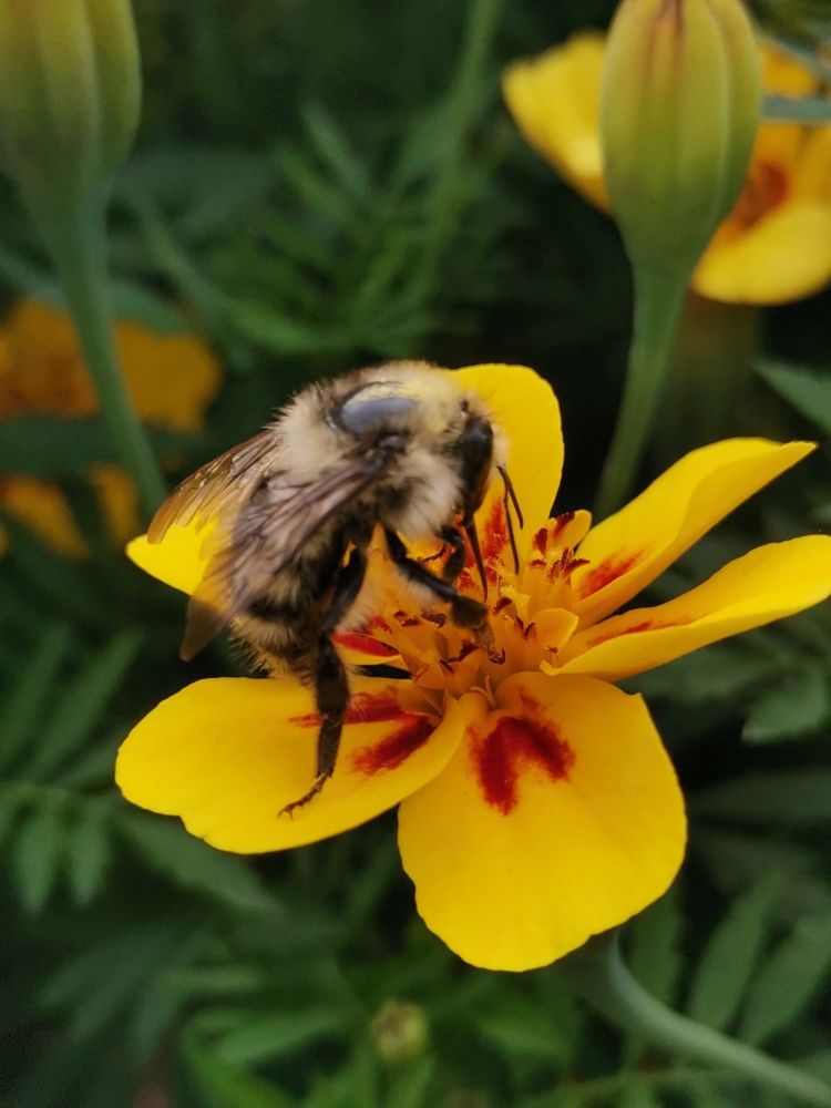 Photograph by Татьяна Антипова