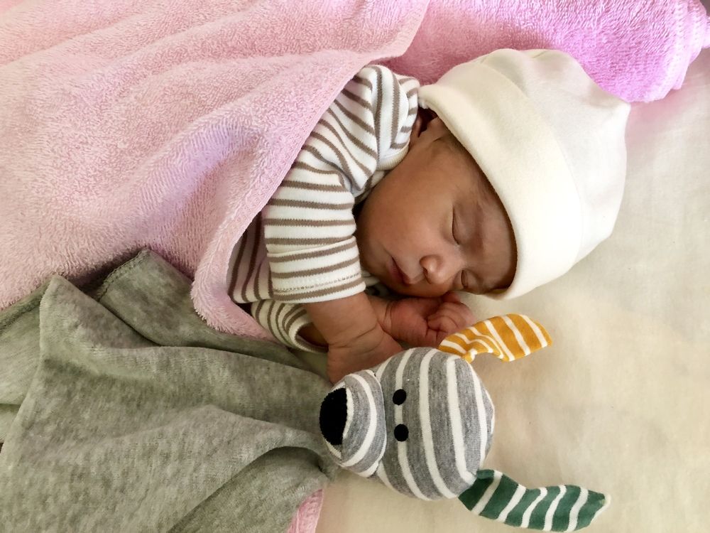 Pocahontas & the dog