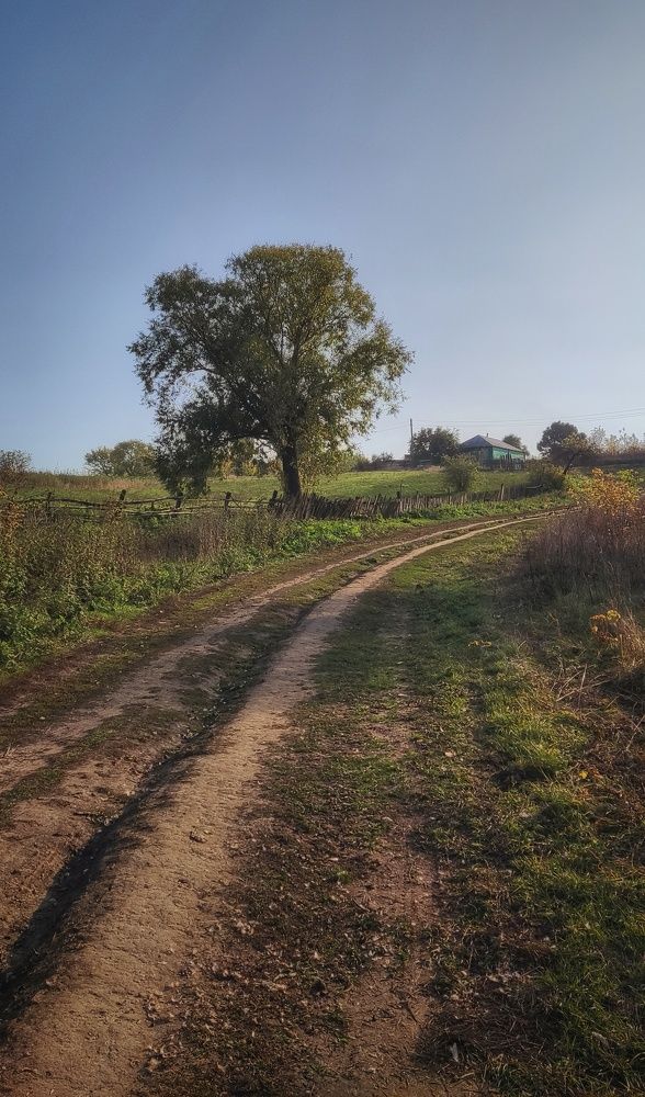 Photograph by Елена Косинова