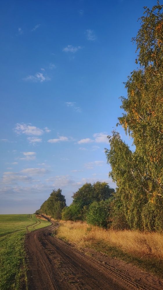 Photograph by Елена Косинова