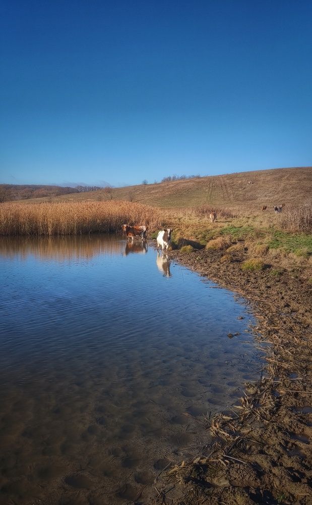 Photograph by Елена Косинова