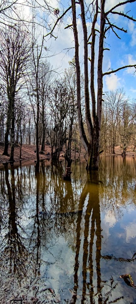 Фотография автора younes jafari