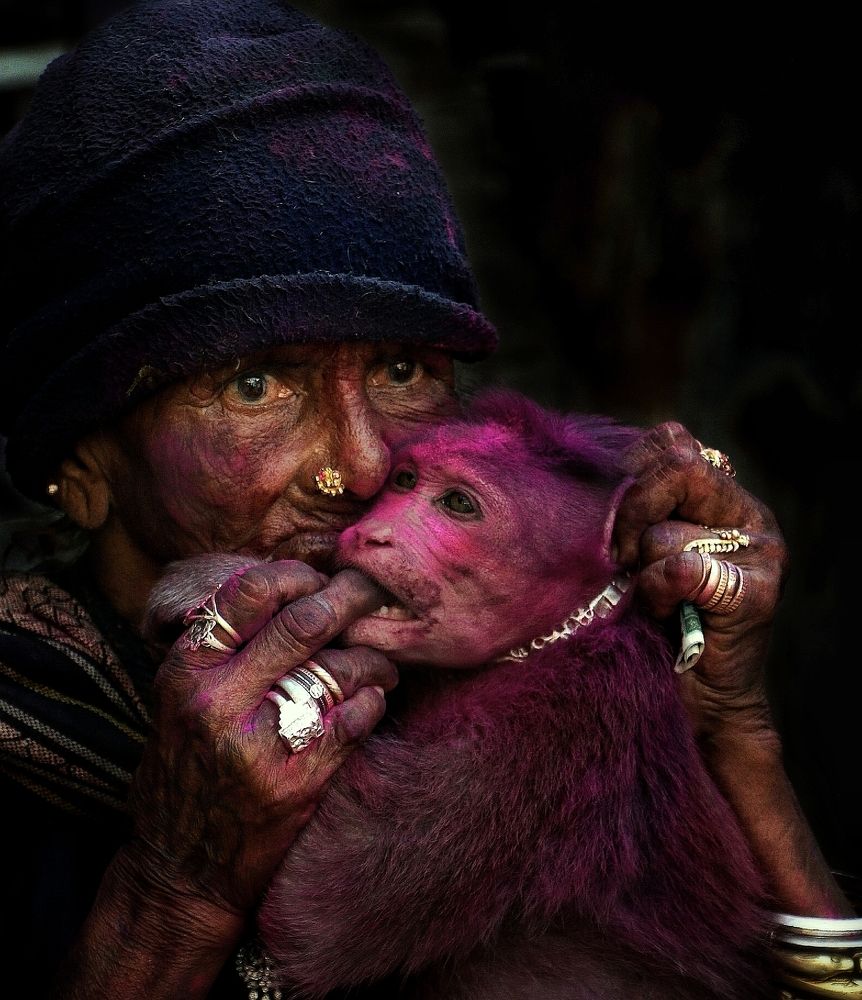 Photograph by Vishal N