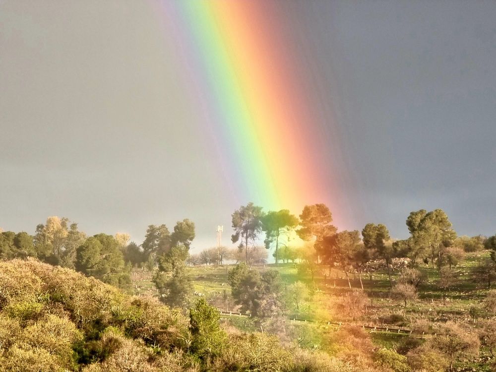 Photograph by Victor Gaidar