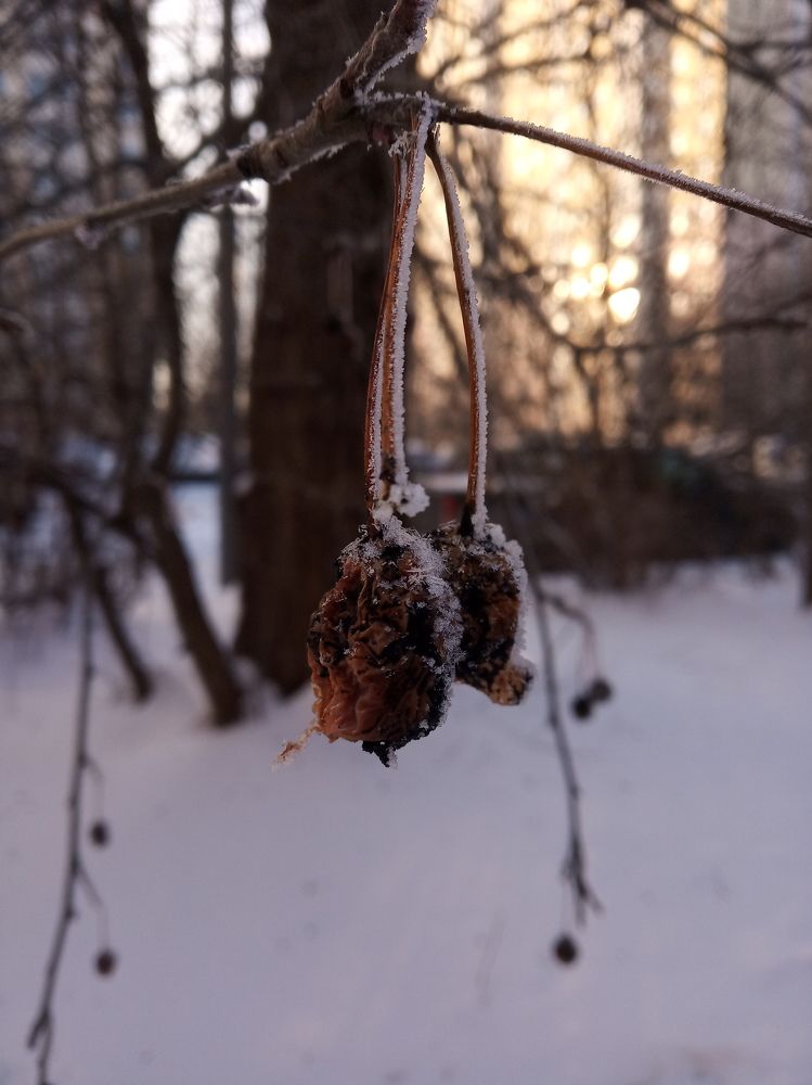 Photograph by Ирина