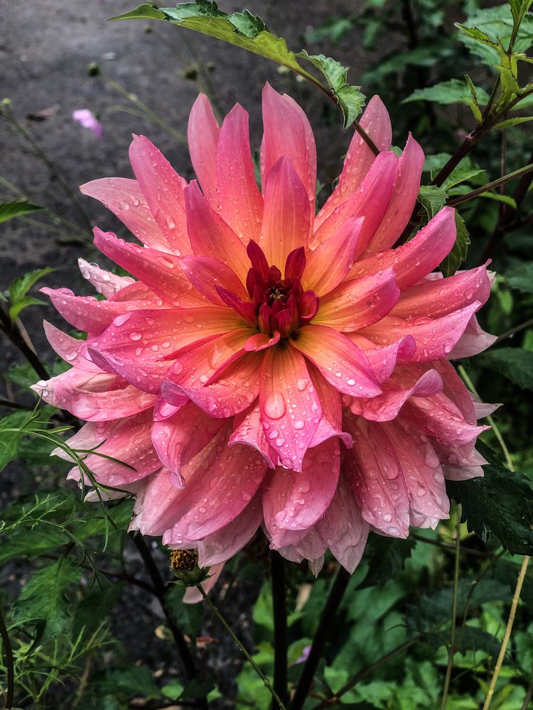 Photograph by Ирина Маркина