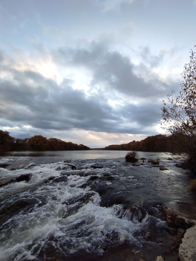 Фотография автора Мария Щеголькова