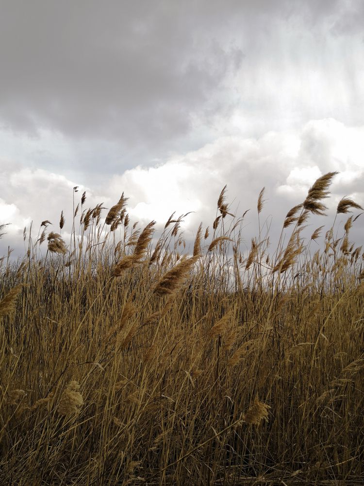 Фотография автора Мария Щеголькова