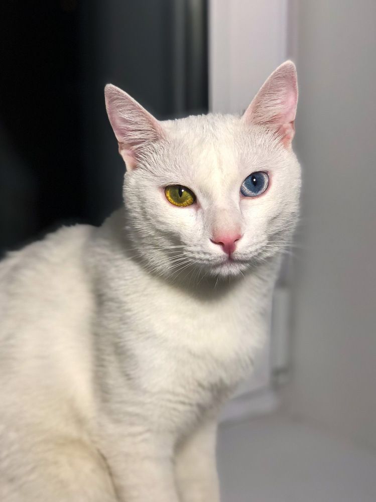 Photograph by Ирина Маркина