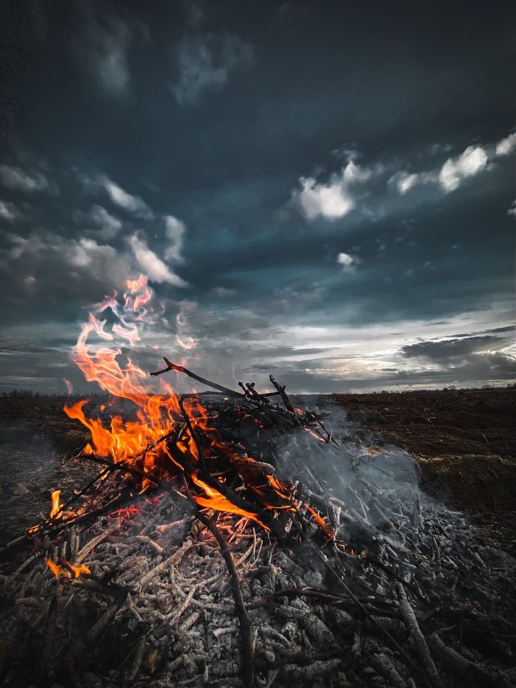 Photograph by Daniel Saikovsky