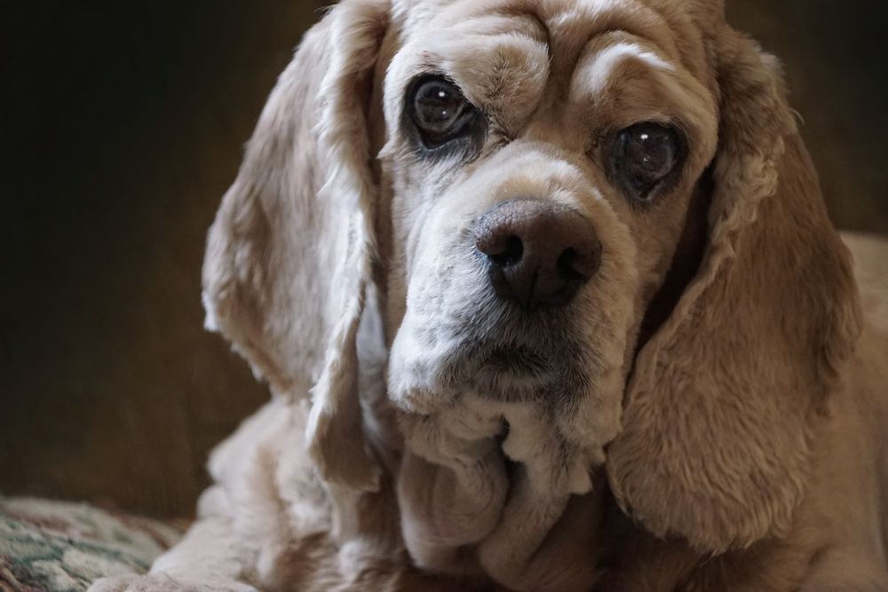 Photograph by Олег Машковский