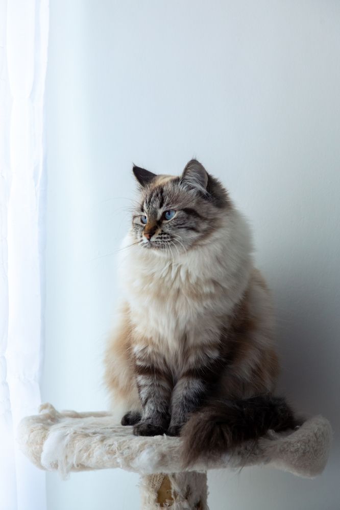 Фотография автора Ivelina Petkova