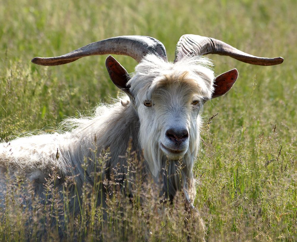 Photograph by Олег Машковский