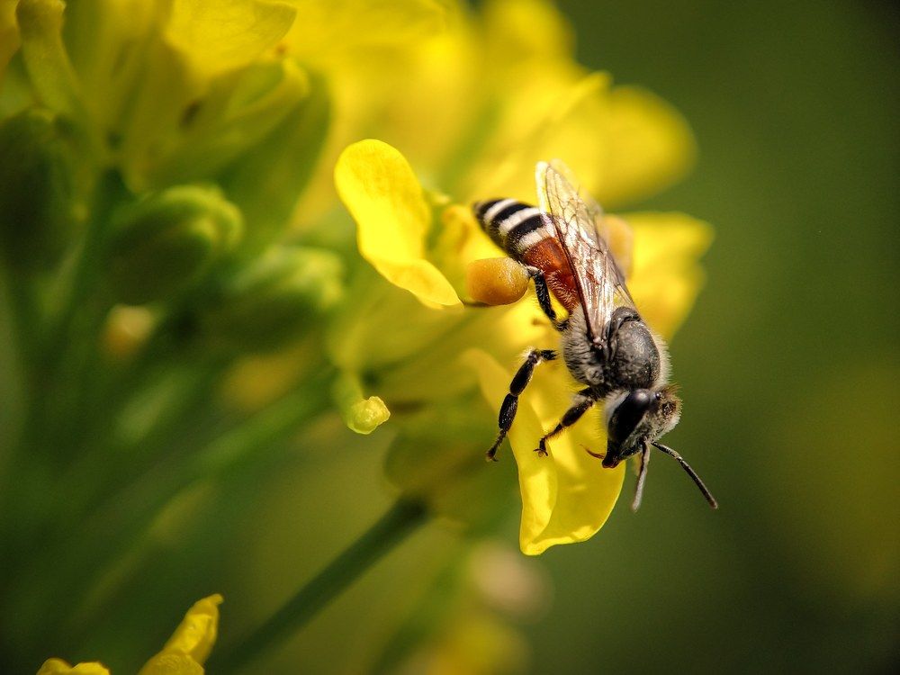 Photograph by Tanvir Ahmed Bhuiyan