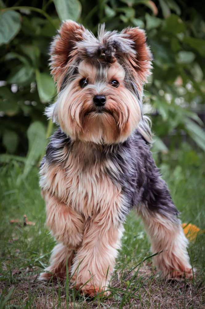 Photograph by Jelena Dzene