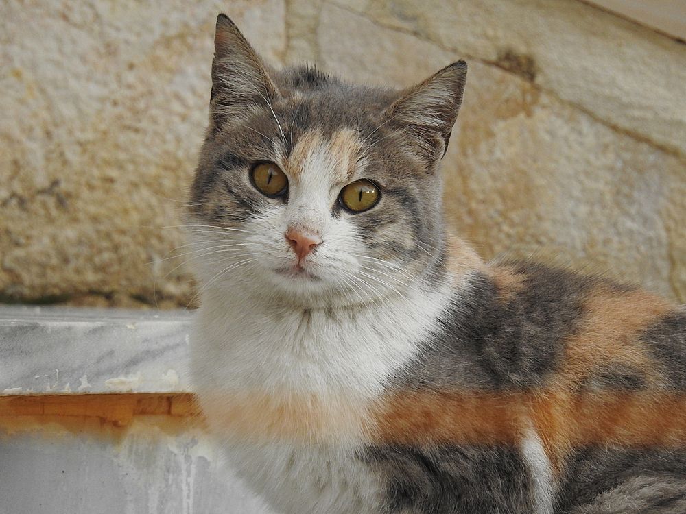 Photograph by Hisham Khatib