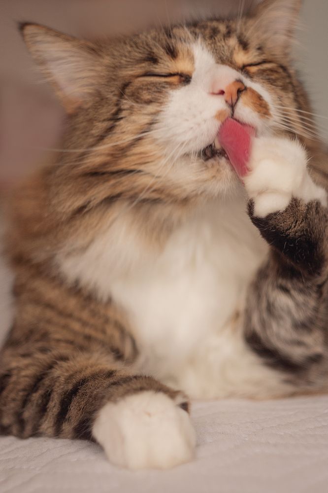 Photograph by Антонина Кузнецова