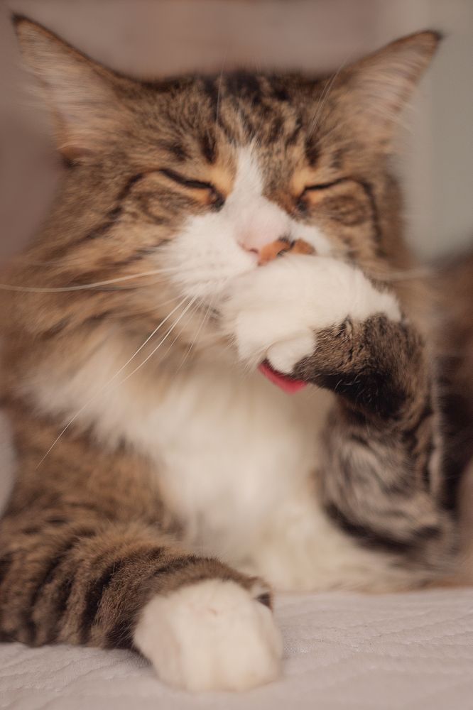 Photograph by Антонина Кузнецова