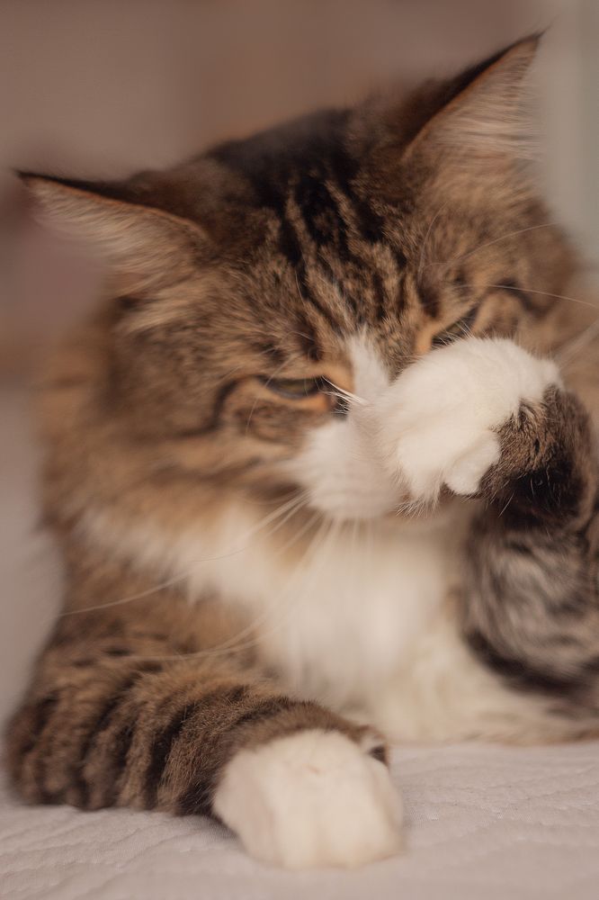 Photograph by Антонина Кузнецова