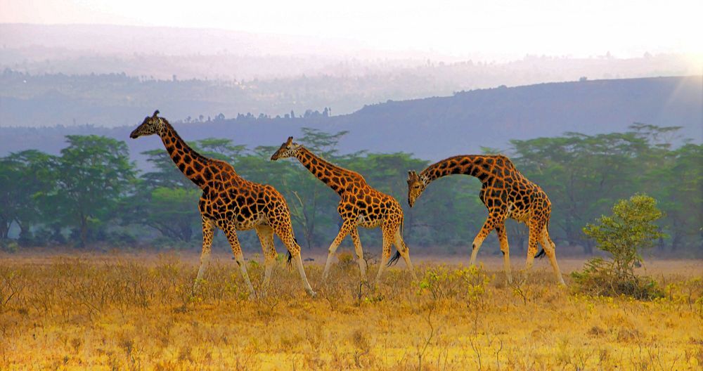 Photograph by Epp Tappel