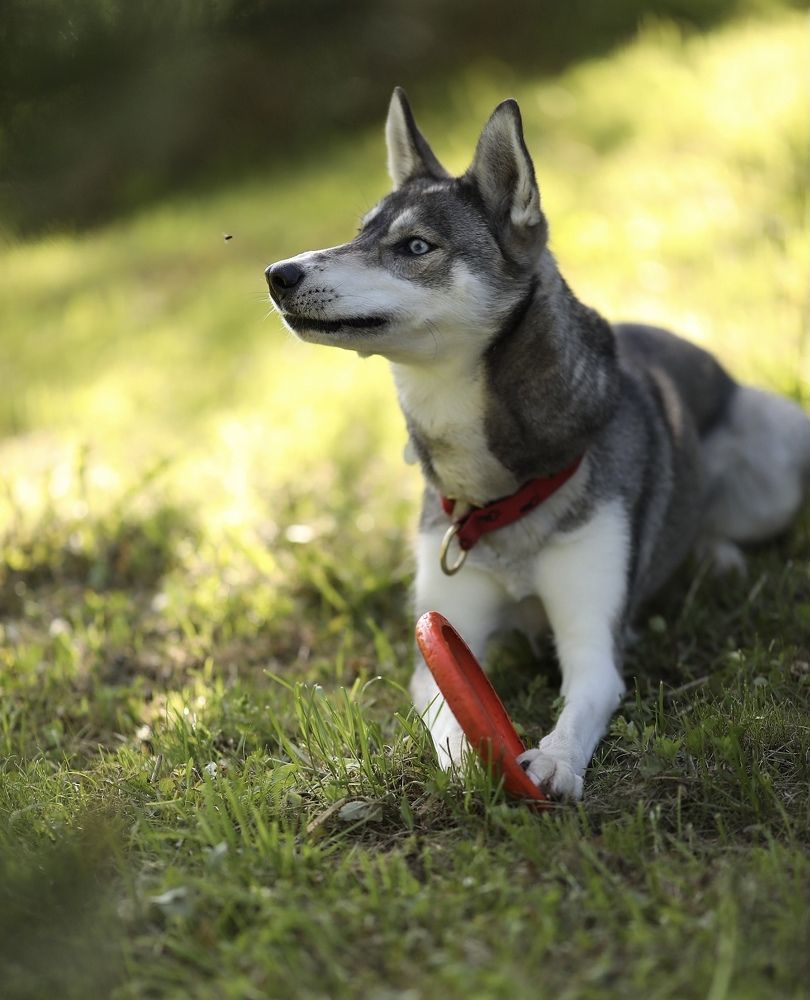 Photograph by Елена Одынец