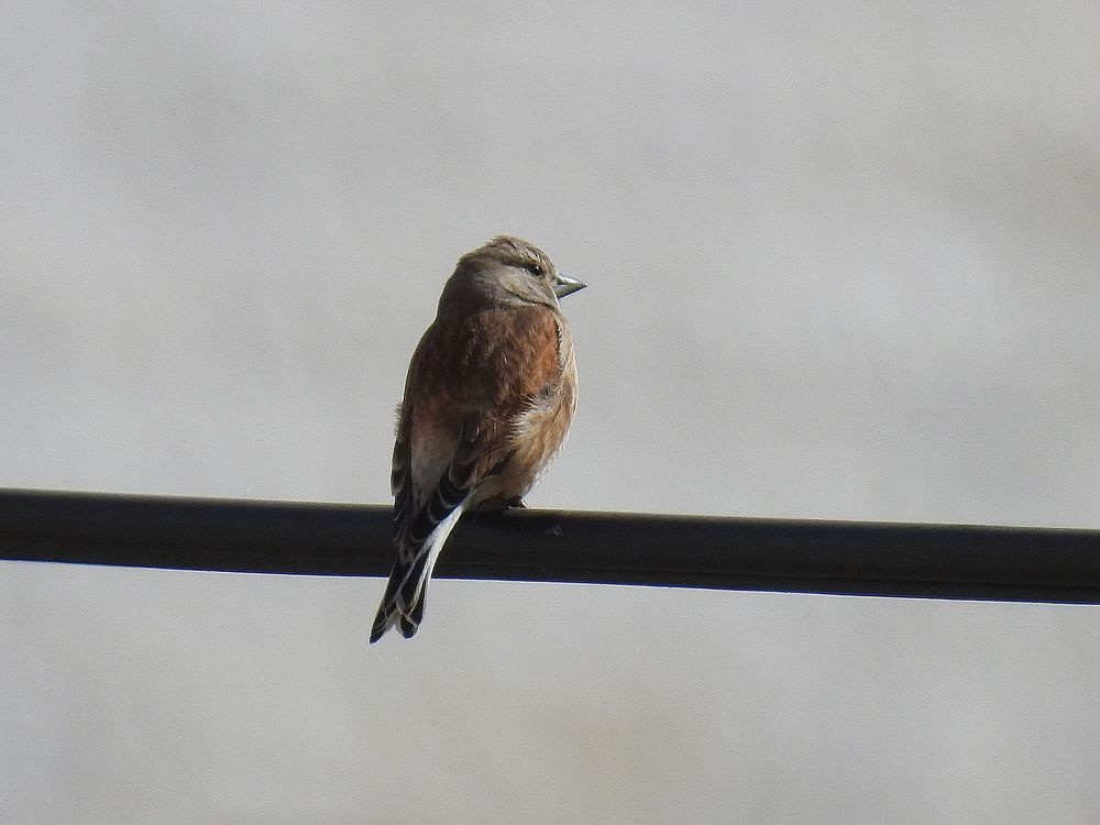 Photograph by Hisham Khatib