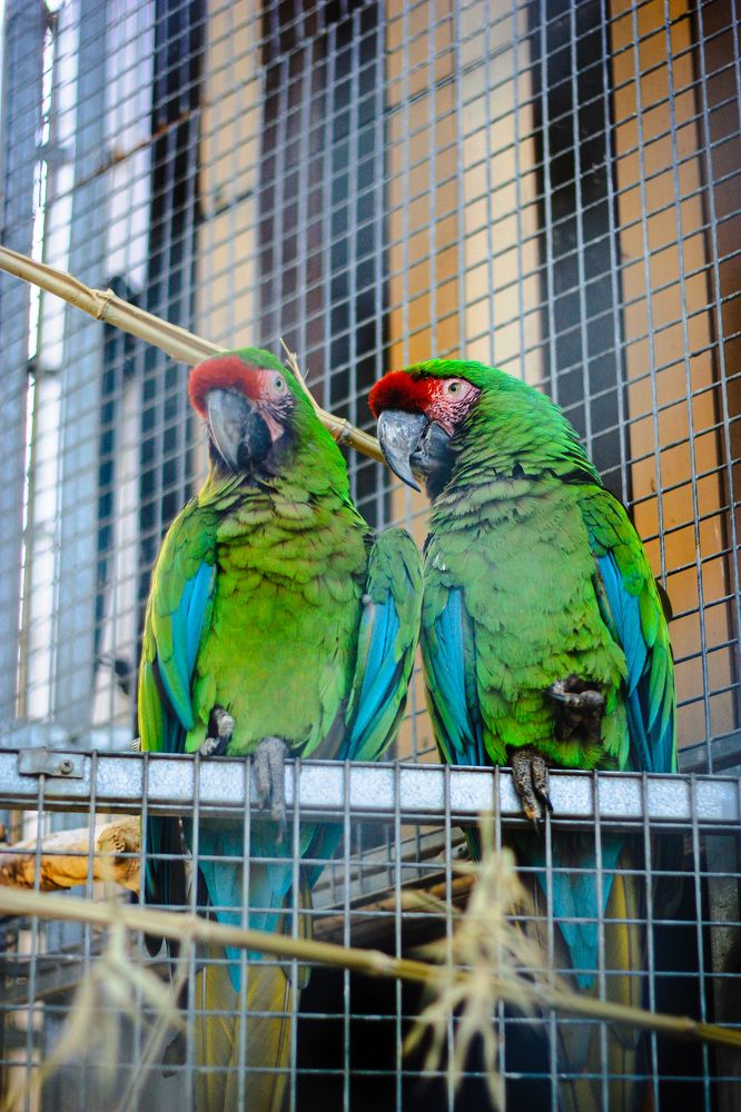 Photograph by Екатерина Нефедова