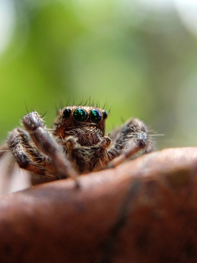 Photograph by Govind Viswanath