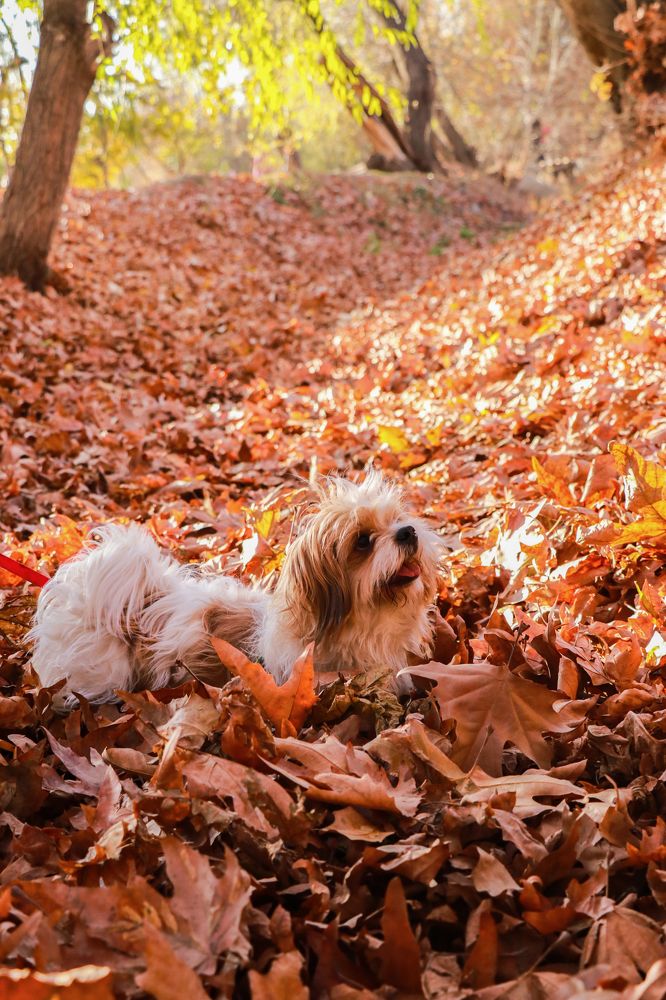 Фотография автора Hadi Nasirian