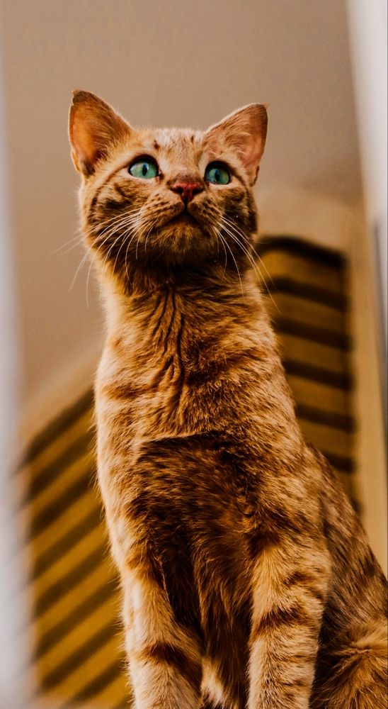 Фотография автора Hadi Nasirian