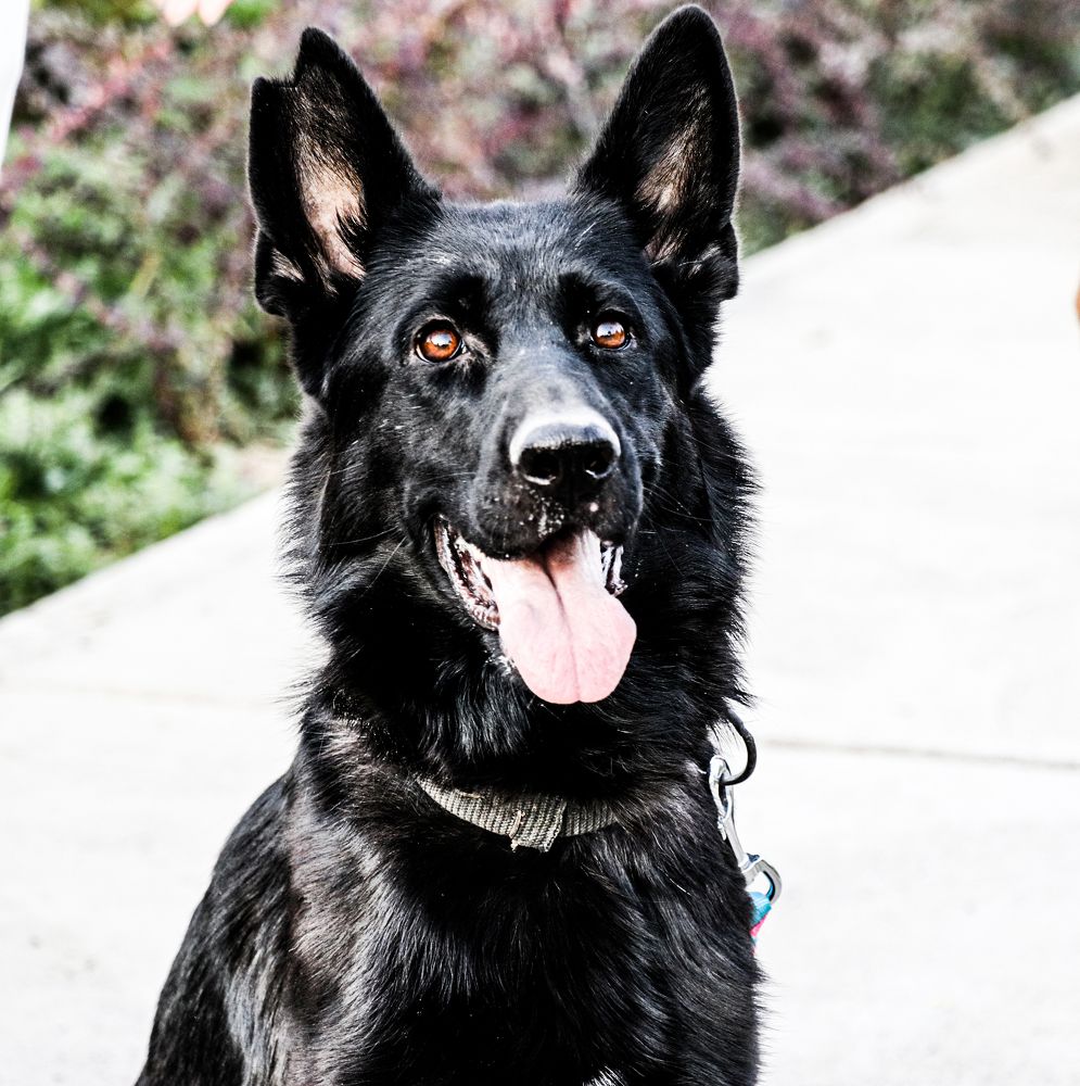 Фотография автора Hadi Nasirian