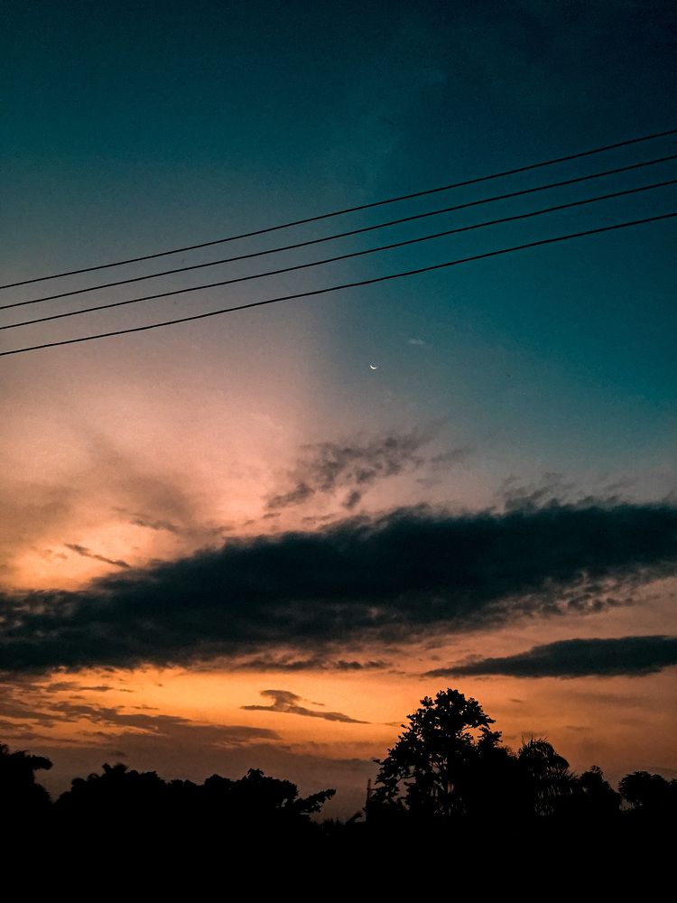 Photograph by Alexander Pariola