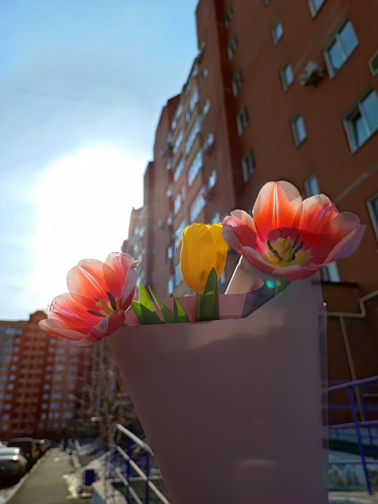 Мобильное фото