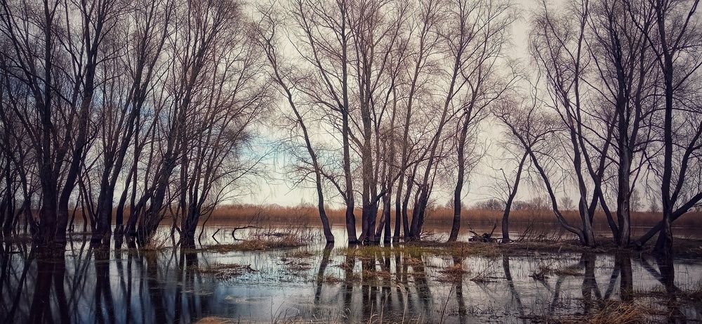 Фотография автора Карина Сёма