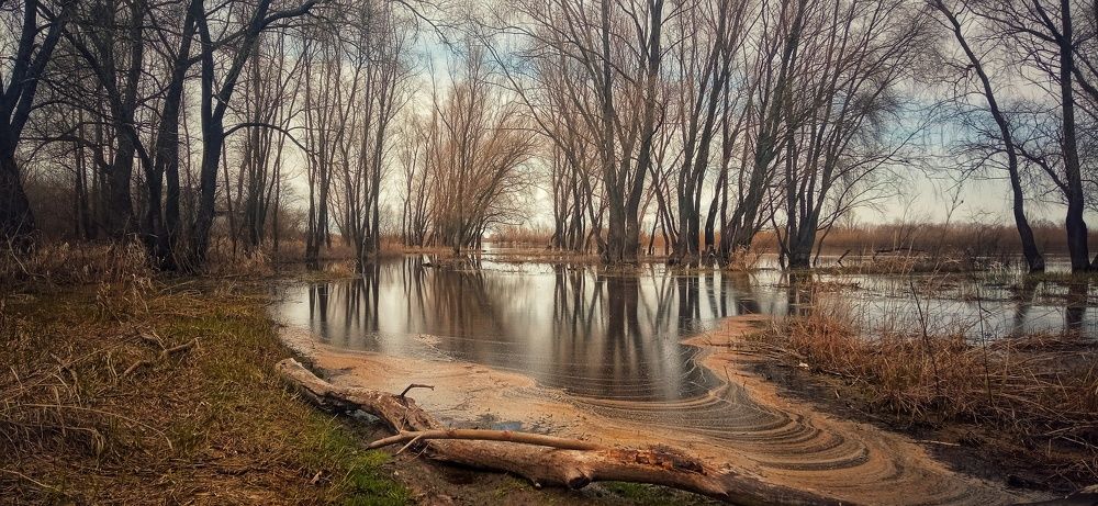 Фотография автора Карина Сёма