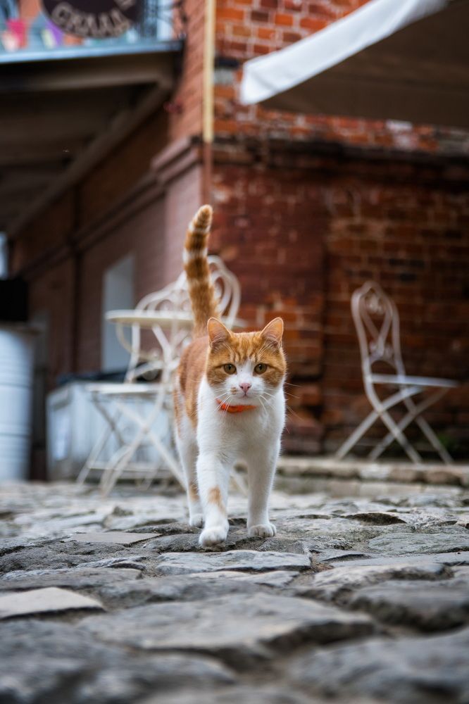 Photograph by Андрей Скрыльков