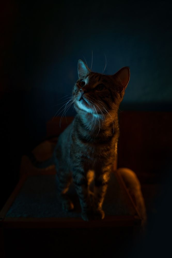 Photograph by Андрей Скрыльков