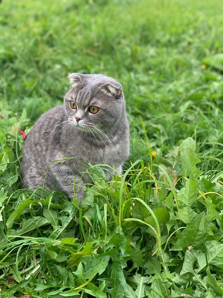 Photograph by Александр