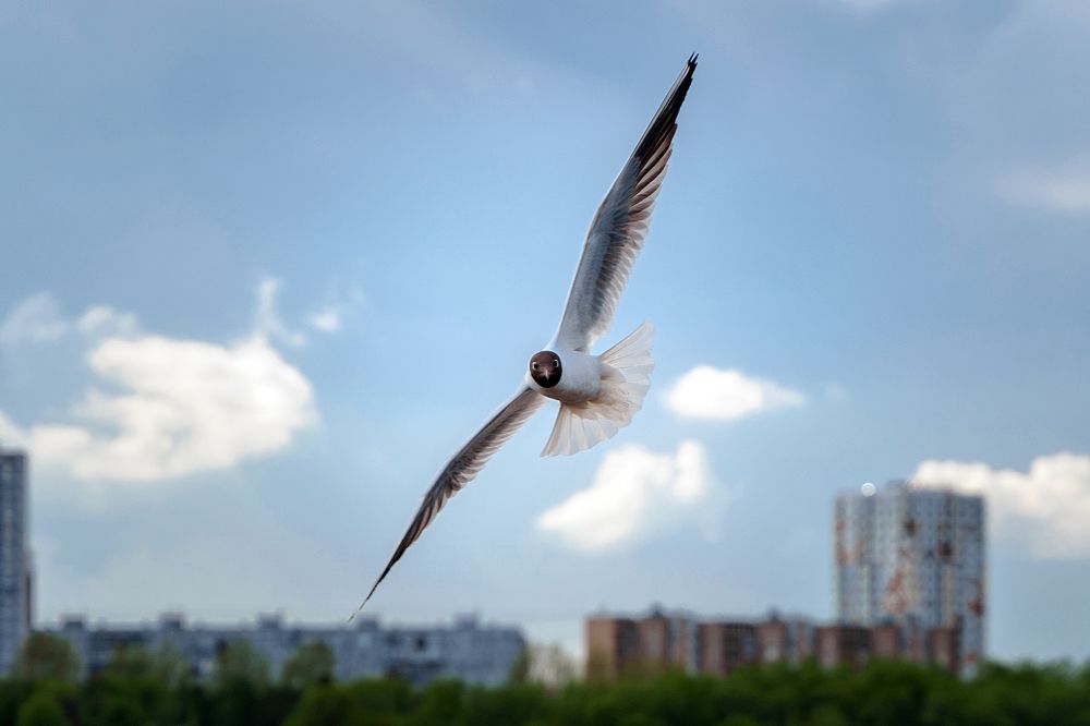 Photograph by Андрей Скрыльков