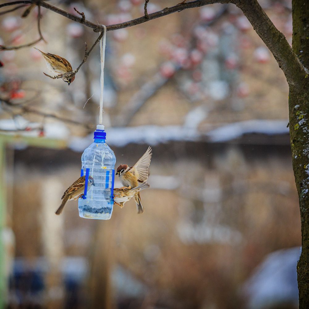 Photograph by Алексей Трифонов