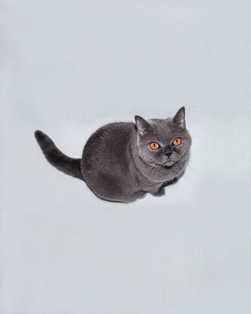 Photograph by Евгений Белов