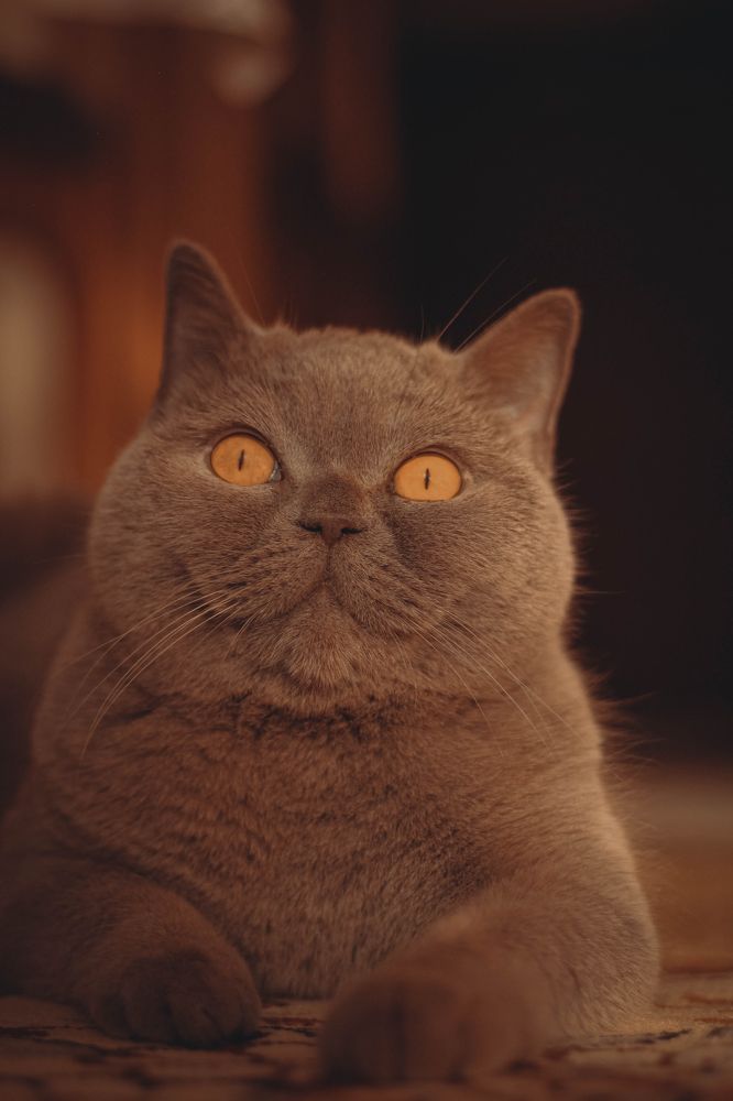 Photograph by Евгений Белов