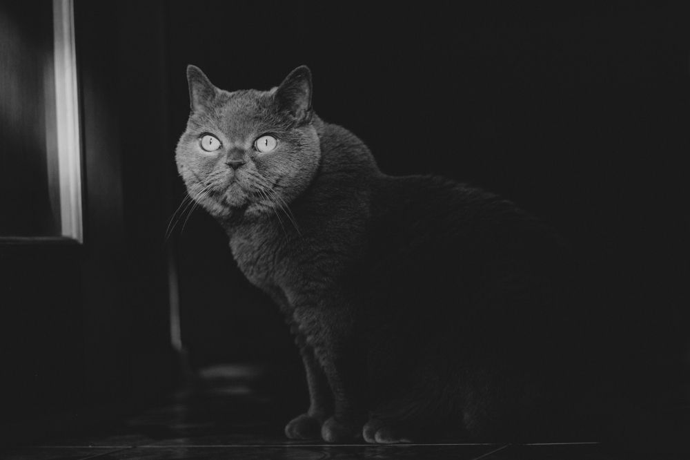 Photograph by Евгений Белов