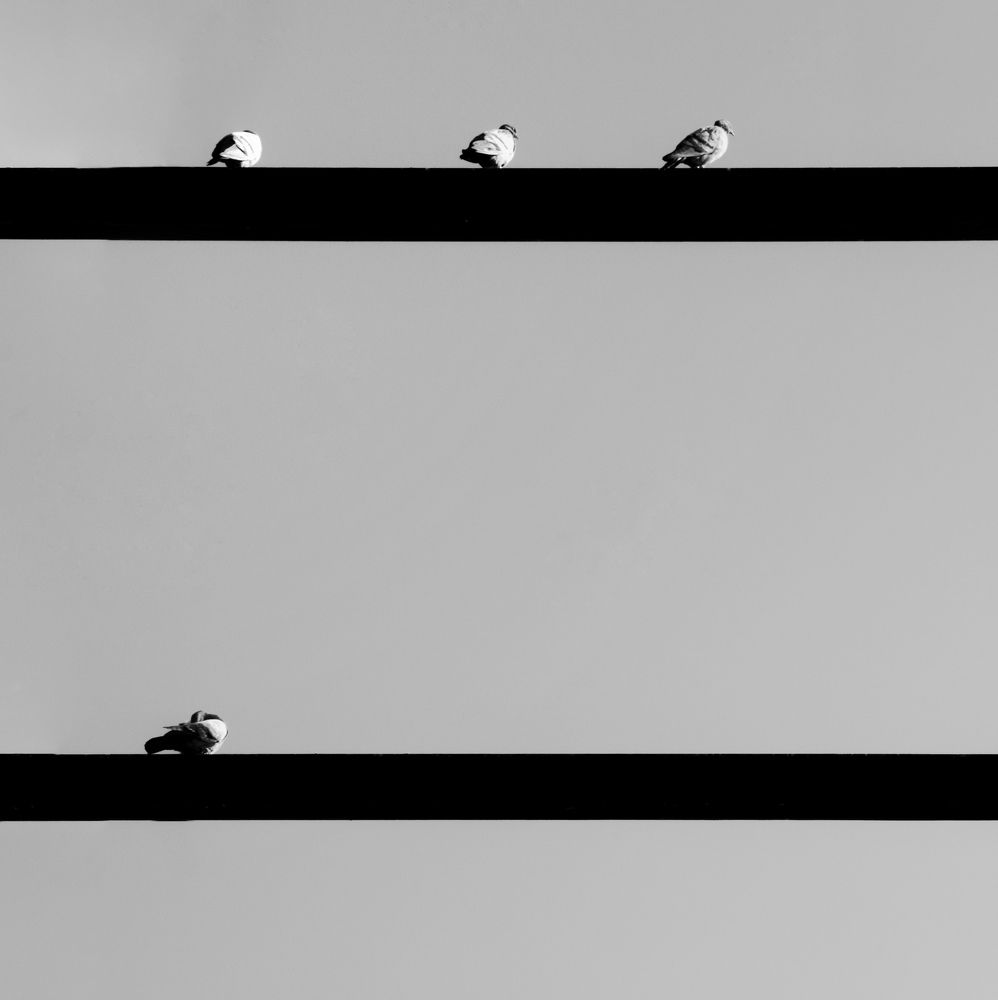 Фотография автора Alipour mohammad