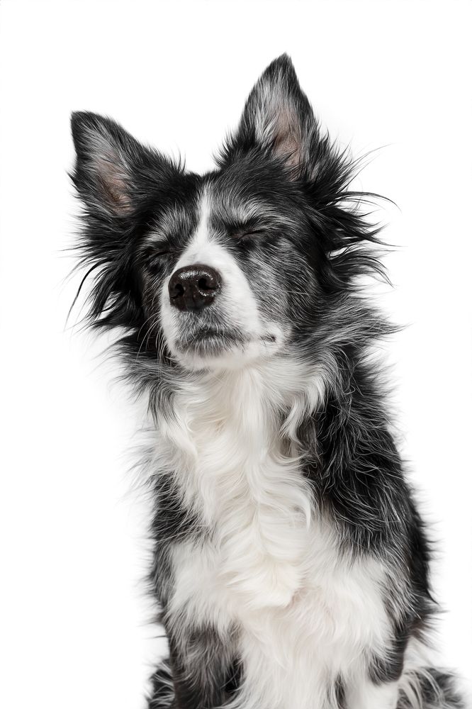 Фотография автора Alicia Mate