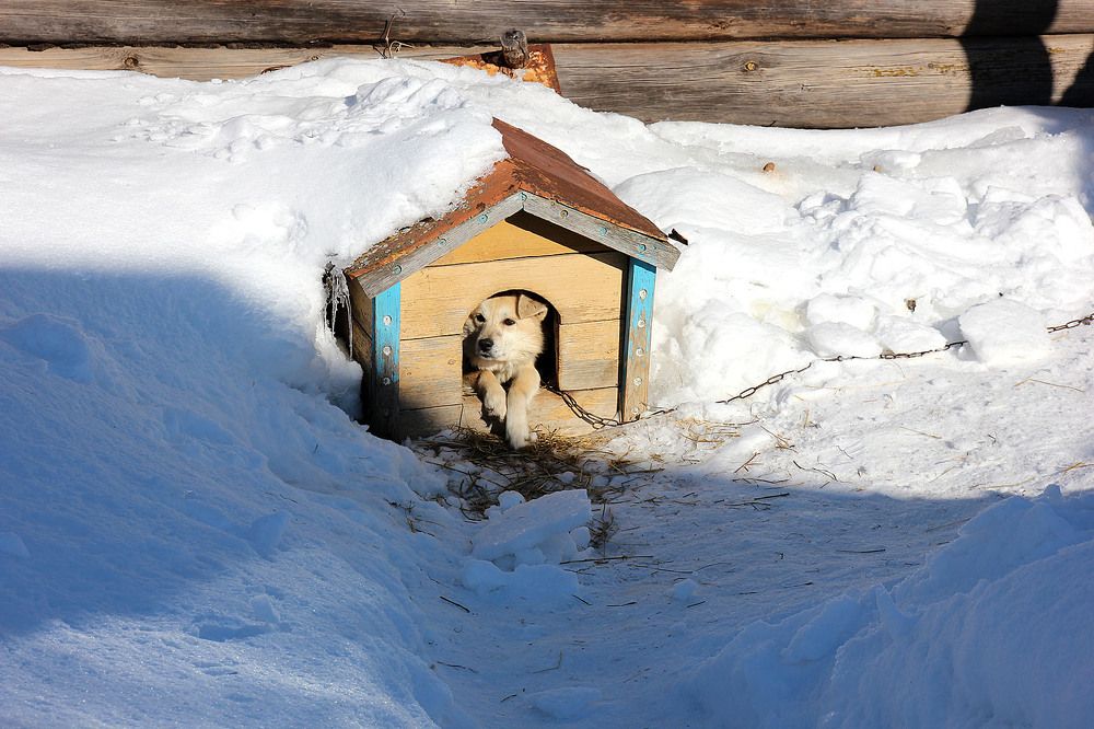 Фотография автора Людмила Иванова